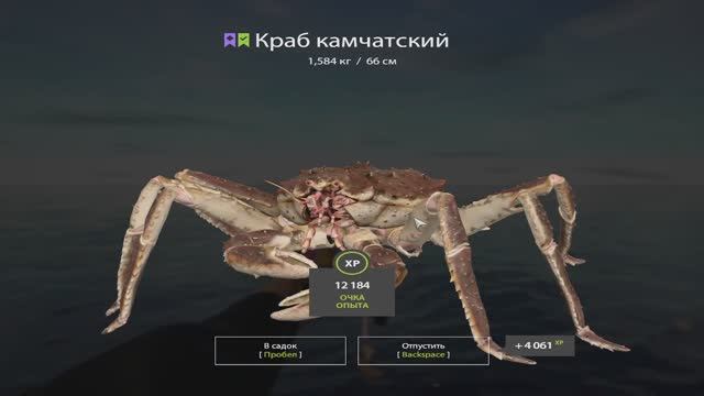 Русская Рыбалка 4. Норвежское море. 55-ая банка смотреть онлайн