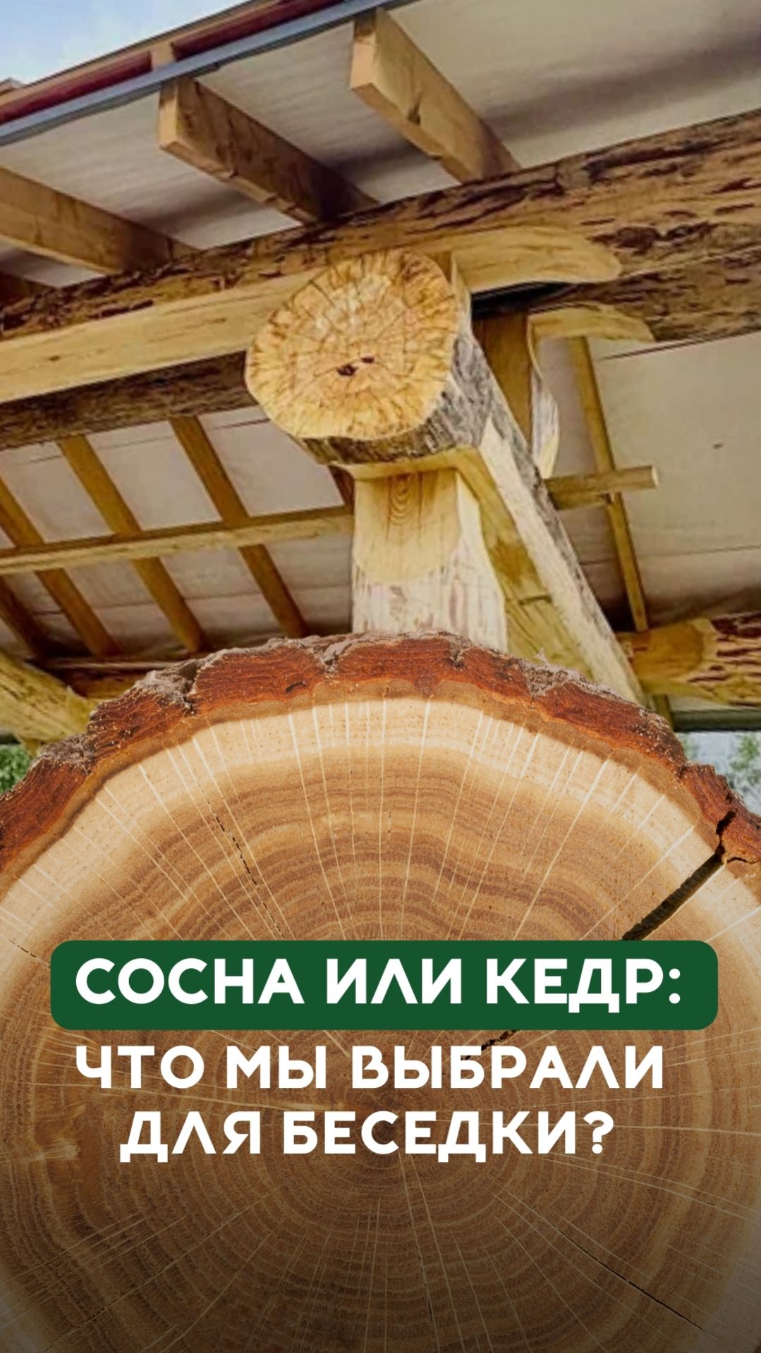 Почему для беседки выбрали сосну, а не кедр: экономия и практичность смотреть онлайн