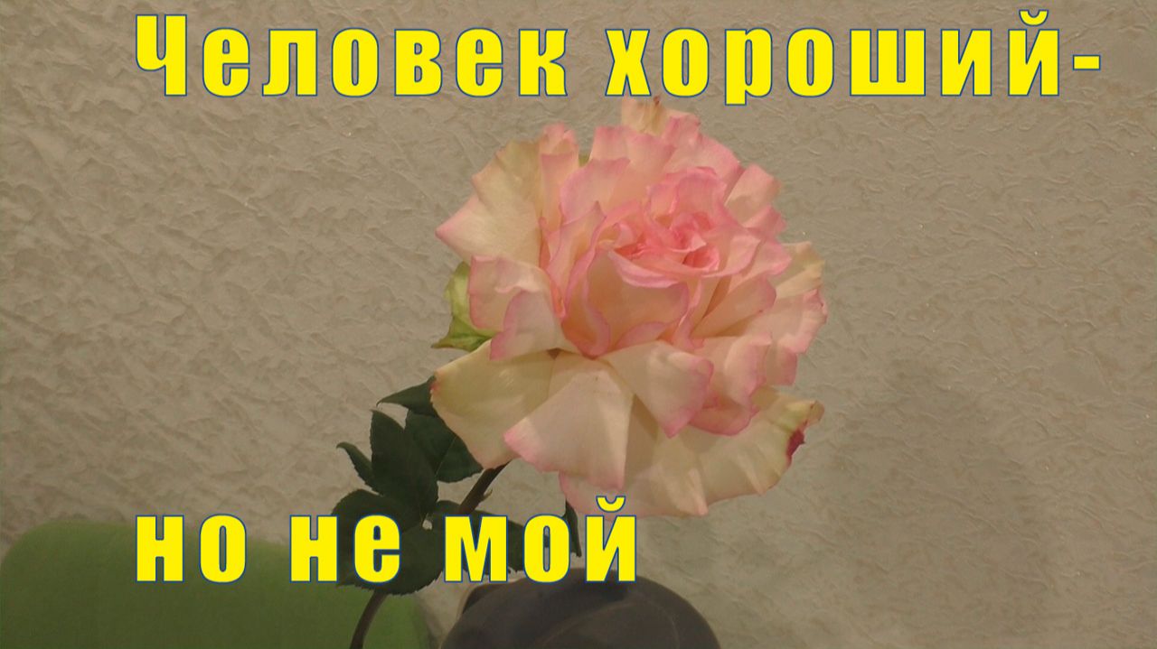 ЧЕЛОВЕК ХОРОШИЙ - НО НЕ МОЙ /А МЫ В БАССЕЙН/ 30 ноября 1 / 2 и 3 декабря  2025 г