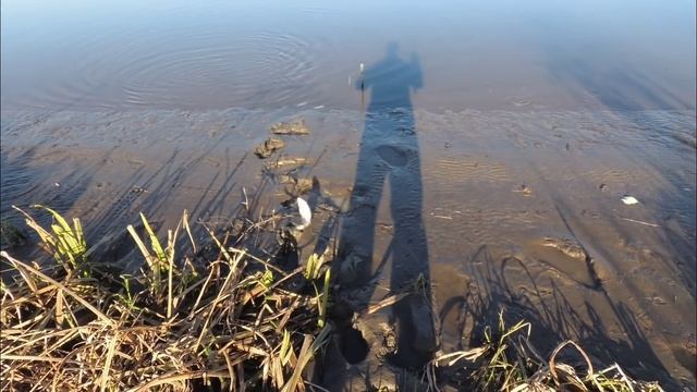СМЕРИНКА. БЕШЕНЫЙ КЛЁВ КРУПНОЙ КРАСНОПЁРКИ (Дальневосточный Угай). Рыбалка на донки. смотреть онлайн