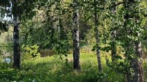 АХ, КАК ХОЧЕТСЯ ЖИТЬ!