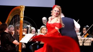 Екатерина Чудотворова. Ария Сильвы «Ах, счастья не ищи ты в высоте небесной».