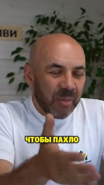 Не используйте этот материал в качестве внутренней отделки! В видео объяснили причину. смотреть онлайн