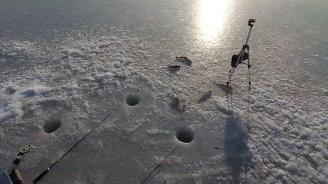 РЫБАЛКА В ГЛУХОЗИМЬЕ / ЗАКОРМИЛ ЛУНКИ И РЫБАЛКА ПОНЕСЛАСЬ смотреть онлайн