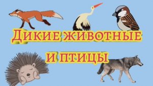 РАЗВИВАЮЩЕЕ ВИДЕО ДЛЯ ДЕТЕЙ. Дикие животные и птицы и их голоса.