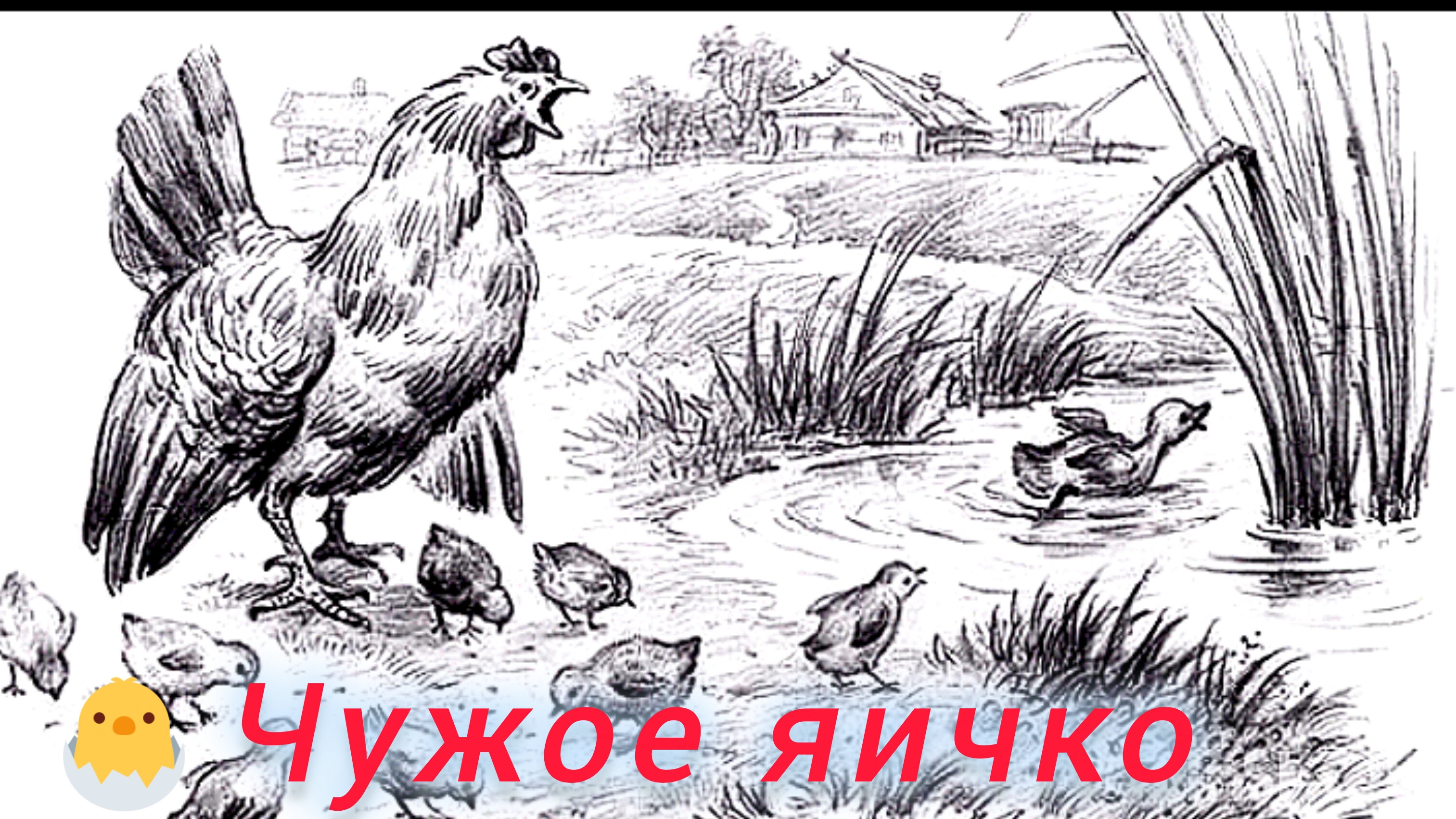 Чужое яичко. К. Ушинский смотреть онлайн