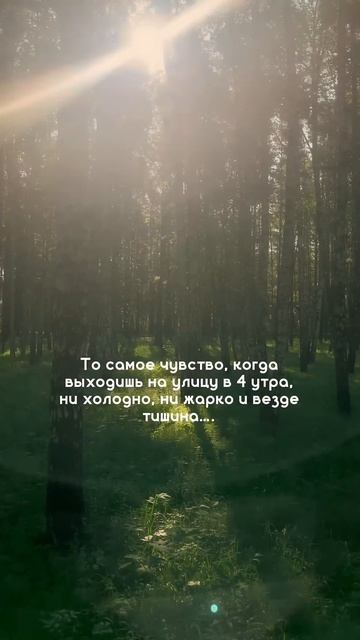 Отдых в Сибири | Отдых в России смотреть онлайн