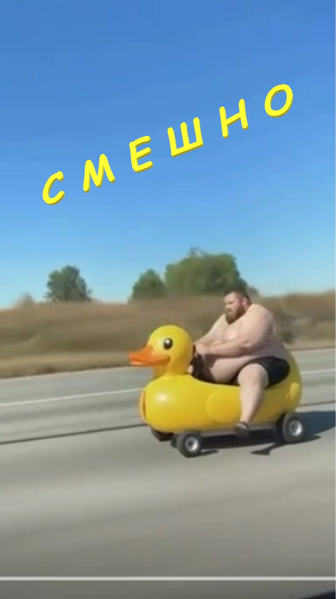 👀👃💋 С М Е Ш Н О 👀👃💋 смотреть онлайн