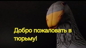 СИНЯКА СНЯЛИ С ПРОДАЖ | БЛОПТОП отменённая серия