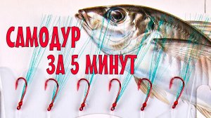 Самодур. Уловистая снасть на ставриду!