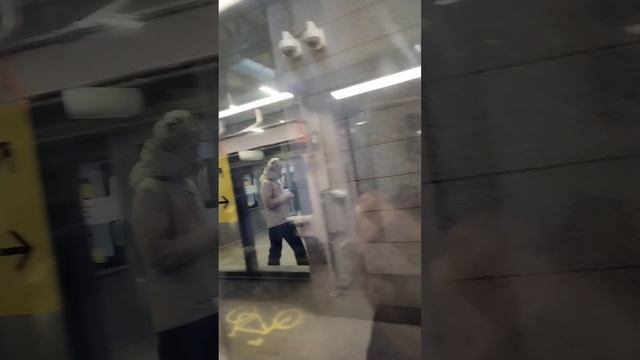 14.МЦК! Способ обозреть окрестности Москвы не выходя из поезда! Обзор!!!