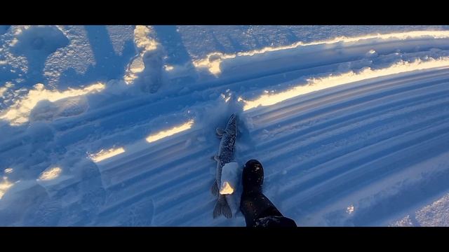 Каменное карьер 26.11.25-29.11.25