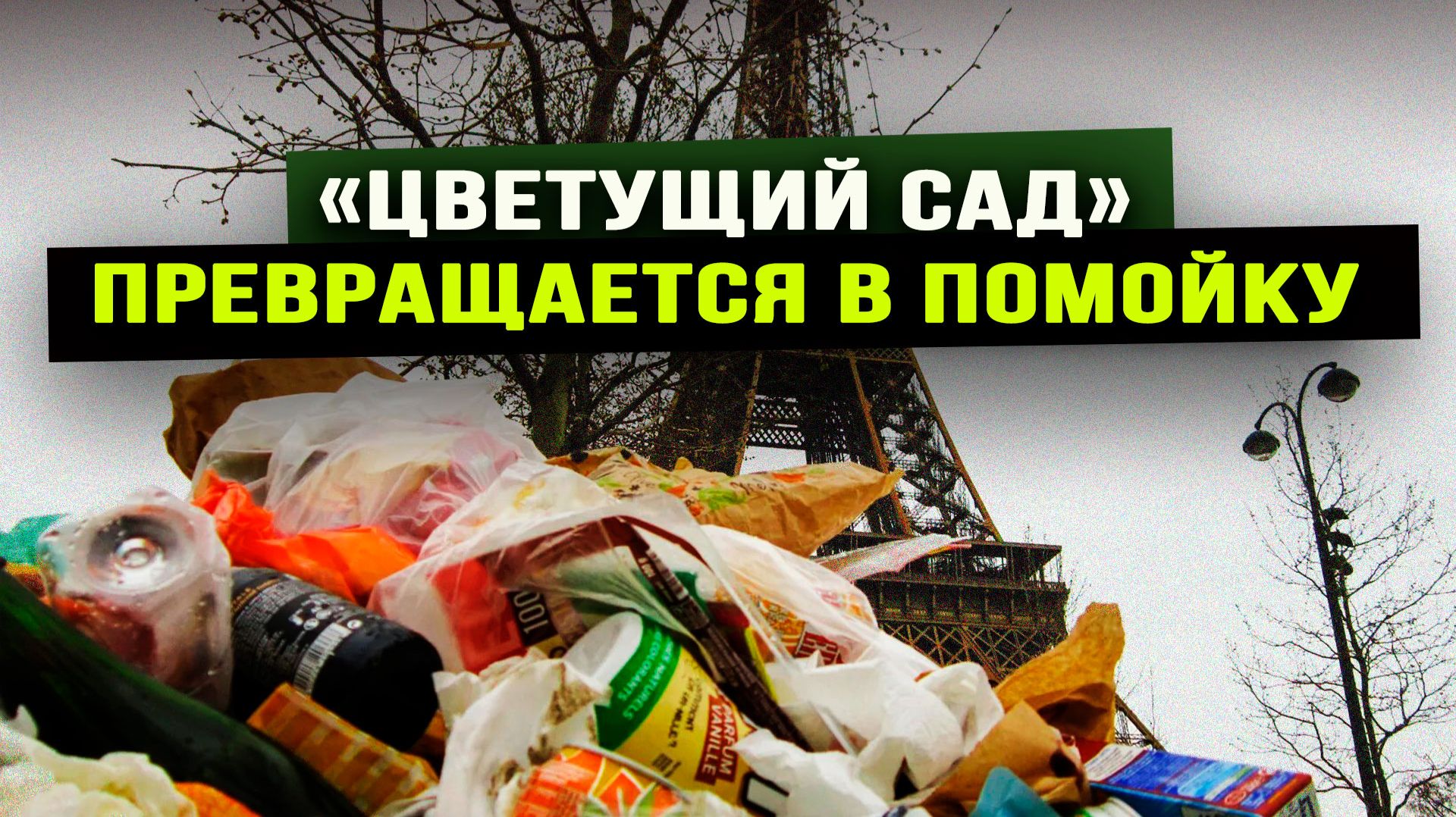 Программа самозахоронения ЕС запущена. Наталья Ерёмина смотреть онлайн