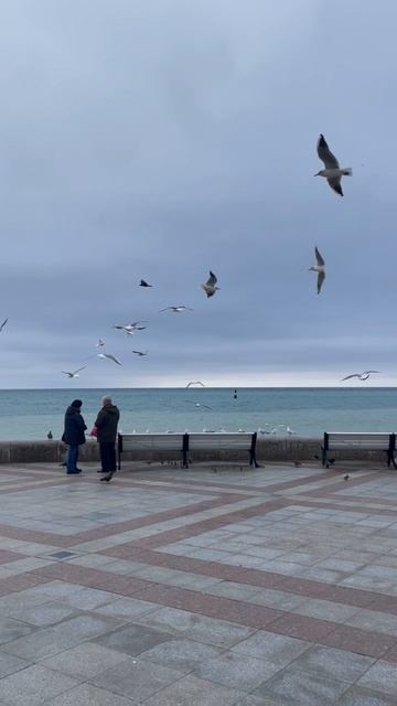 Ялта 💖💖💖 смотреть онлайн