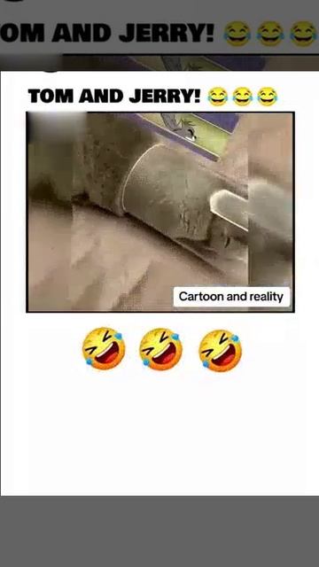 1 Cartoon Vs Real - Tom And Jerry Tomandjerry Cartoon Comedy Funny Cat [get.gt].mp4