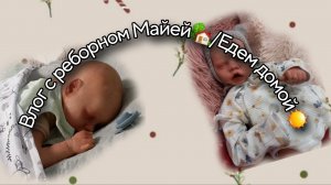 Влог с реборном Майей🏡/Едем домой☀️