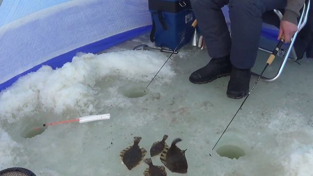 Рыбалка в Тавричанке. КАМБАЛА на морского червя. смотреть онлайн
