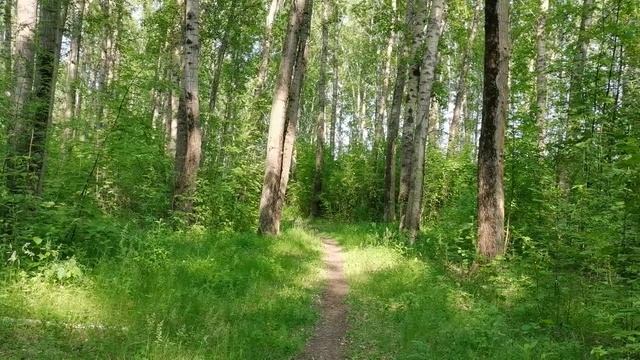 Пешком в историю