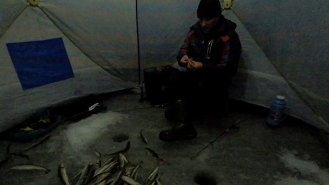 Бешеный клёв наваги. Рыбалка с ночёвкой. МАИХА смотреть онлайн