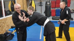 джиу-джитсу феникс