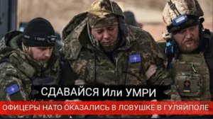 Ужасающий момент в Гуляй поле: Окружённые офицеры НАТО попытались бежать из города — БОЛЬШАЯ ОШИБКА.
