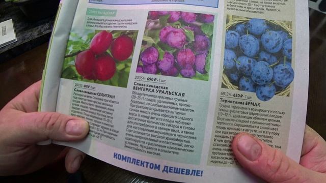 Обзор каталога "Весна 2026" от Садов России. Часть 3 смотреть онлайн