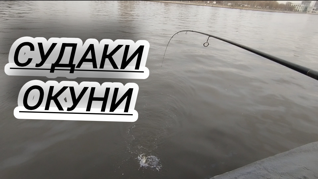 РЫБАЛКА ЛОВЛЯ СУДАКА ОКУНЯ НА МОСКВЕ РЕКЕ! смотреть онлайн