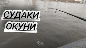 РЫБАЛКА ЛОВЛЯ СУДАКА ОКУНЯ НА МОСКВЕ РЕКЕ!