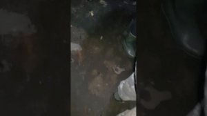 Метод чопика!