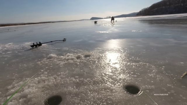 Необычная рыбалка на первом ЛЁДу 2023 - 2024: Рыба прёт в удивительных количествах смотреть онлайн