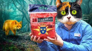 ЧТО ЕДЯТ В АРМИИ ШВЕЦИИ?