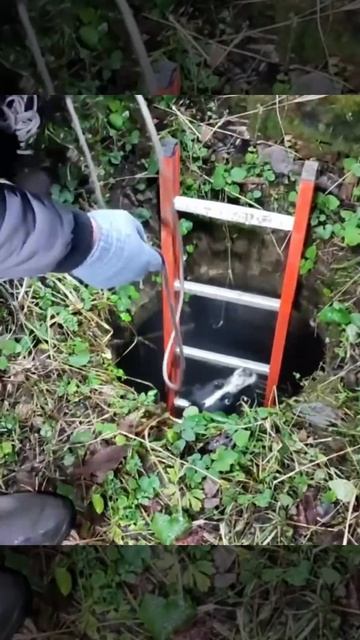 🐕В Одинцово пес отключил интернет и телевидение абонентам, когда пытался выбраться из колодца🐕 смотреть онлайн