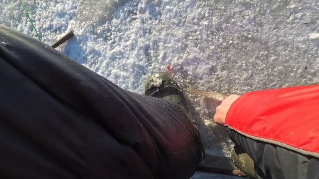НА ПЕРВЫЙ ЛЁД ! НАЧАЛО ЗИМНЕЙ РЫБАЛКИ 2022 - 2023 смотреть онлайн