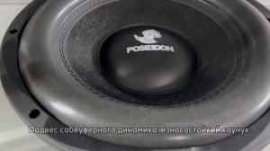 Обзор PROLOGY D-1.1000 и PROLOGY PS-12 POSEIDON