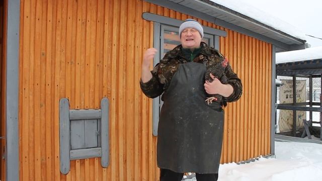 КАК ПРАВИЛЬНО ПОСТАВИТЬ ДИАГНОЗ ЗАБОЛЕВАНИЯ КУРАМ! 08.12.2025 ГОД. смотреть онлайн