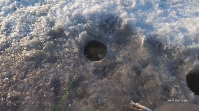 Поехал на разведку. Рыбалка на КОЗЯВКИ не далеко от дома. смотреть онлайн