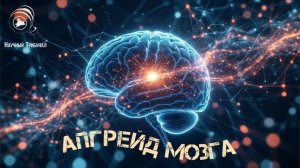 Апгрейд мозга. Архив Катющик ТВ.