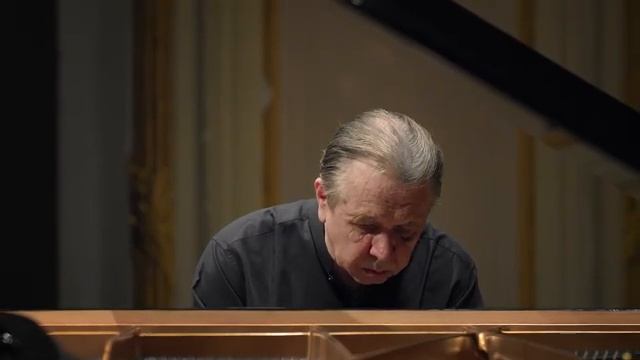 Шопен Прелюдия ре-бемоль мажор № 15 соч. 28 - Михаил Плетнев