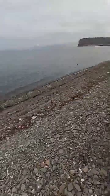 НАЛОВИЛ МИНТАЯ #shorts #жекарыболов смотреть онлайн