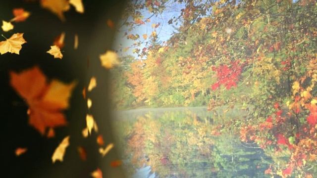 Чтоб любоваться им веками смотреть онлайн