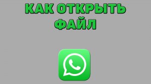 Как открыть файл в Ватсапе