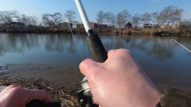 ВЕСЕННЯЯ РЫБАЛКА НА ДОНКУ / РЫБАЛКА НА ДОНКУ В АПРЕЛЕ #жекарыболов #рыбалка #донки смотреть онлайн