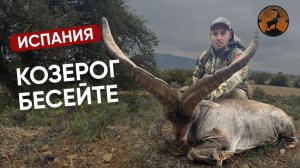 КОЗЕРОГ БЕСЕЙТЕ | ИСПАНИЯ | РЕАЛЬНАЯ ОХОТА