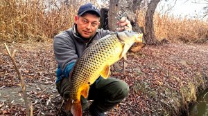 ЗИМНИЕ САЗАНЫ НА ЖМЫХ Рыбалка на островах в декабре