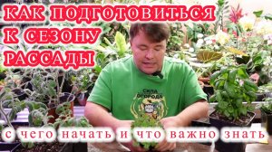 Поговорим о рассаде - как облегчить и упростить жизнь не только растениям, но и себе