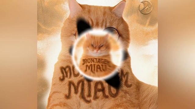 Montagem Miau (extended) ● I смотреть онлайн