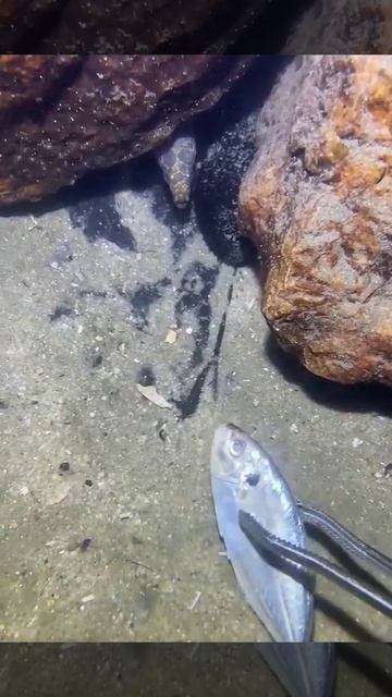 Морской Бизнес смотреть онлайн