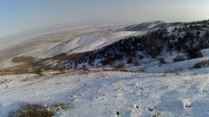 Охота на волка