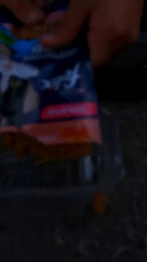 ПОКОРМИЛ КОТА OIIA  #oiia #oiiaoiiacat #oiiaoiia