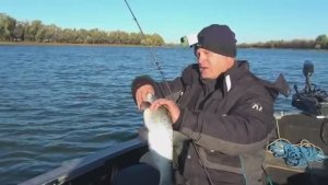 НА РЫБАЛКУ С ЖЕНОЙ. ПОПАЛИ НА БЕШЕНЫЙ КЛЁВ. Осенняя рыбалка на открытой воде